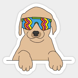 Labrador puppy Dog wearing 80's skiing sunglasses Sticker